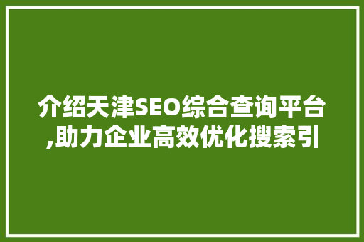 介绍天津SEO综合查询平台,助力企业高效优化搜索引擎排名