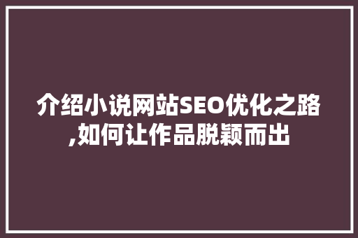 介绍小说网站SEO优化之路,如何让作品脱颖而出