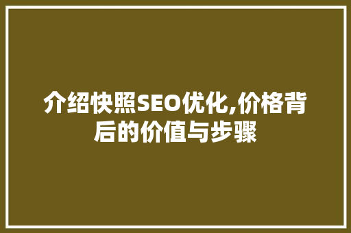 介绍快照SEO优化,价格背后的价值与步骤