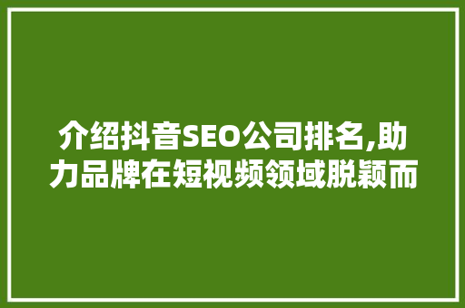 介绍抖音SEO公司排名,助力品牌在短视频领域脱颖而出