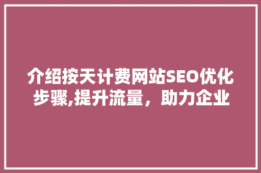 介绍按天计费网站SEO优化步骤,提升流量，助力企业腾飞