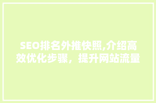 SEO排名外推快照,介绍高效优化步骤，提升网站流量与排名