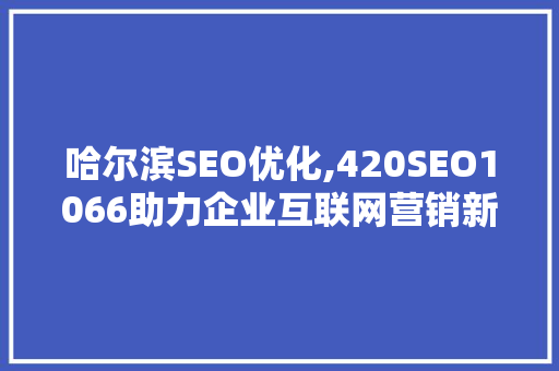 哈尔滨SEO优化,420SEO1066助力企业互联网营销新篇章