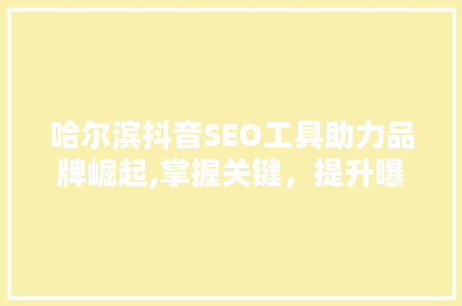 哈尔滨抖音SEO工具助力品牌崛起,掌握关键，提升曝光