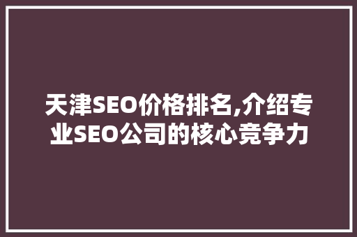 天津SEO价格排名,介绍专业SEO公司的核心竞争力