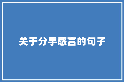 天门SEO优化攻略,助力企业在线上崛起的关键步骤