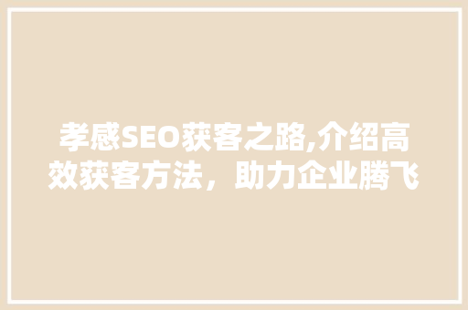 孝感SEO获客之路,介绍高效获客方法，助力企业腾飞