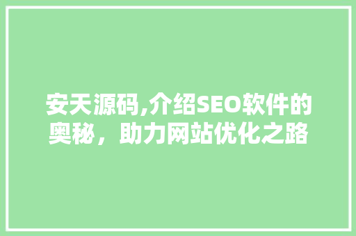 安天源码,介绍SEO软件的奥秘，助力网站优化之路