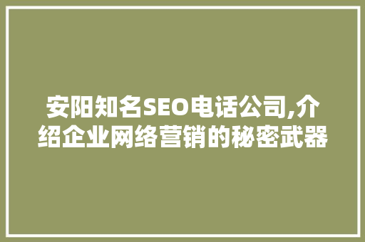 安阳知名SEO电话公司,介绍企业网络营销的秘密武器
