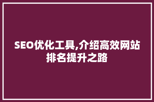 SEO优化工具,介绍高效网站排名提升之路