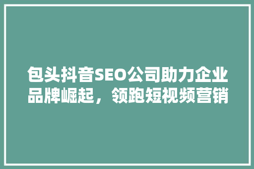 包头抖音SEO公司助力企业品牌崛起，领跑短视频营销新风尚