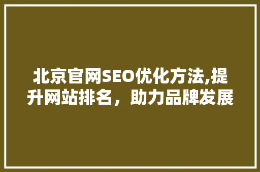 北京官网SEO优化方法,提升网站排名，助力品牌发展