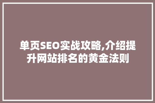 单页SEO实战攻略,介绍提升网站排名的黄金法则