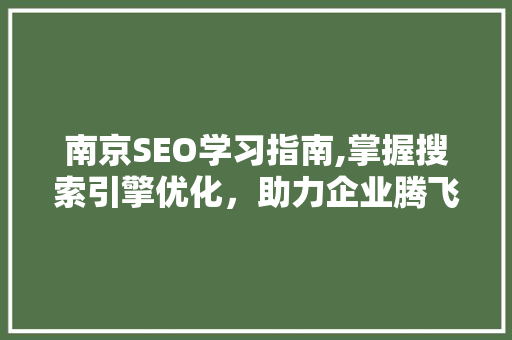 南京SEO学习指南,掌握搜索引擎优化，助力企业腾飞
