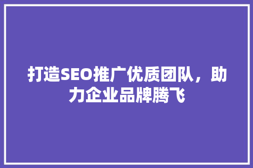 打造SEO推广优质团队，助力企业品牌腾飞