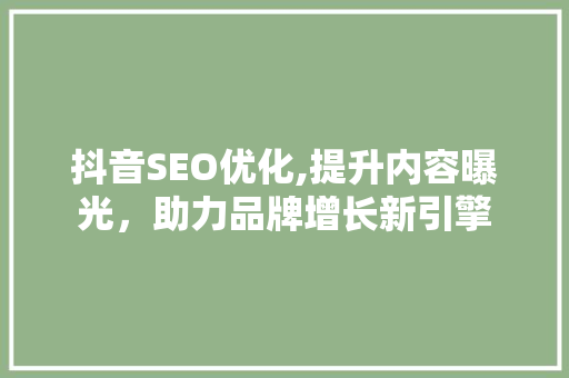 抖音SEO优化,提升内容曝光，助力品牌增长新引擎