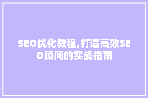 SEO优化教程,打造高效SEO顾问的实战指南  第1张