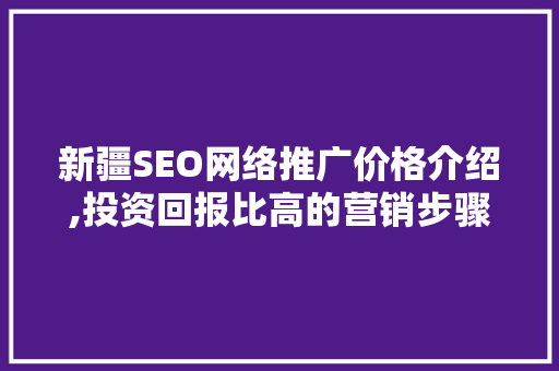 新疆SEO网络推广价格介绍,投资回报比高的营销步骤