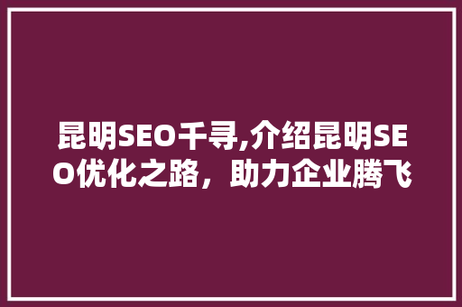 昆明SEO千寻,介绍昆明SEO优化之路，助力企业腾飞