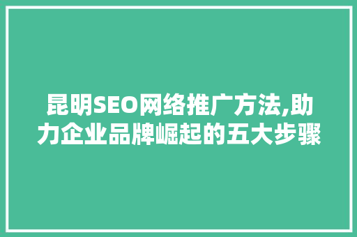 昆明SEO网络推广方法,助力企业品牌崛起的五大步骤