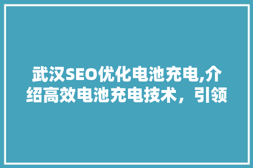 武汉SEO优化电池充电,介绍高效电池充电技术，引领绿色出行新潮流