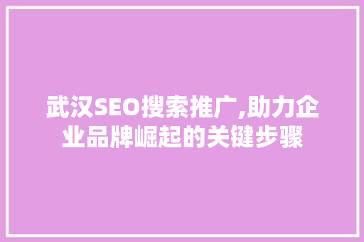 武汉SEO搜索推广,助力企业品牌崛起的关键步骤
