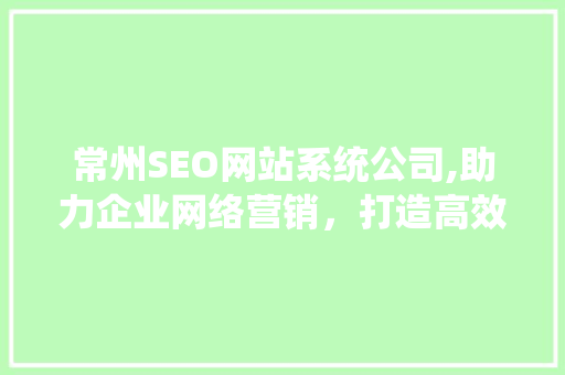 常州SEO网站系统公司,助力企业网络营销，打造高效在线平台