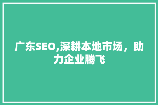 广东SEO,深耕本地市场，助力企业腾飞