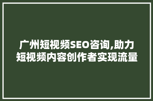 广州短视频SEO咨询,助力短视频内容创作者实现流量爆发