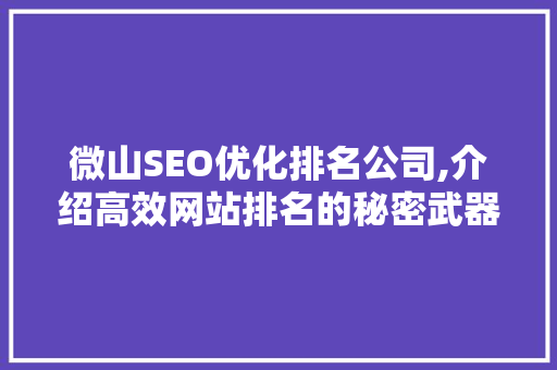 微山SEO优化排名公司,介绍高效网站排名的秘密武器