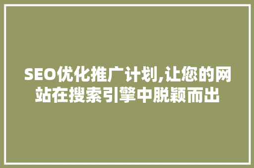 SEO优化推广计划,让您的网站在搜索引擎中脱颖而出