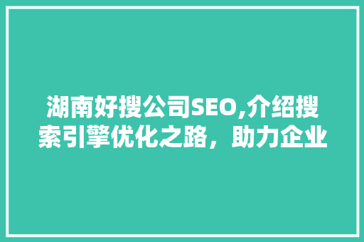 湖南好搜公司SEO,介绍搜索引擎优化之路，助力企业腾飞