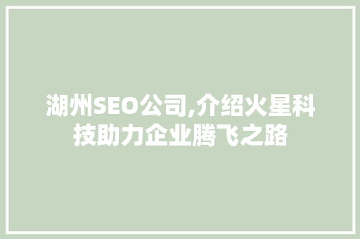 湖州SEO公司,介绍火星科技助力企业腾飞之路