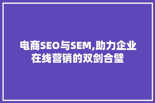 电商SEO与SEM,助力企业在线营销的双剑合璧