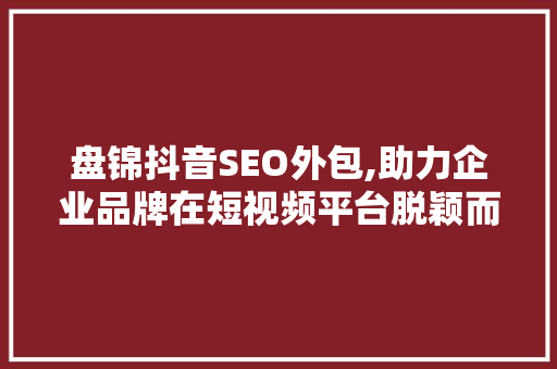 盘锦抖音SEO外包,助力企业品牌在短视频平台脱颖而出