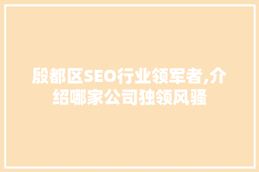 殷都区SEO行业领军者,介绍哪家公司独领风骚