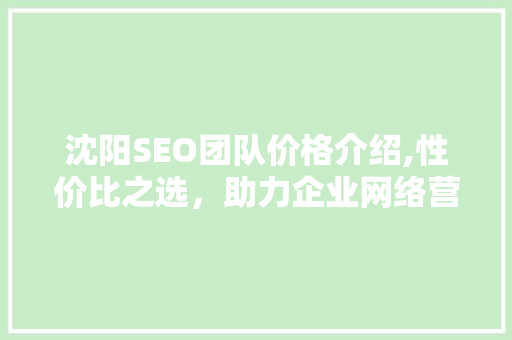 沈阳SEO团队价格介绍,性价比之选，助力企业网络营销