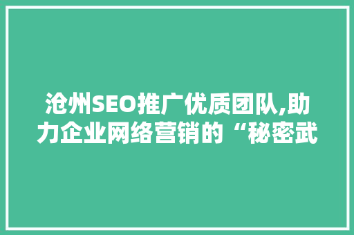 沧州SEO推广优质团队,助力企业网络营销的“秘密武器”