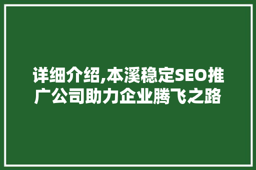 详细介绍,本溪稳定SEO推广公司助力企业腾飞之路