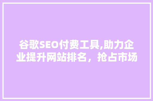 谷歌SEO付费工具,助力企业提升网站排名，抢占市场先机