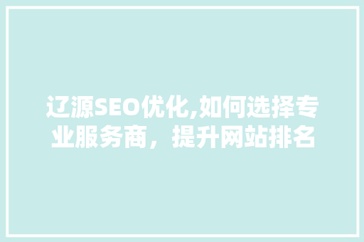 辽源SEO优化,如何选择专业服务商，提升网站排名  第1张