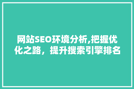 网站SEO环境分析,把握优化之路，提升搜索引擎排名