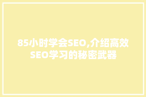 85小时学会SEO,介绍高效SEO学习的秘密武器