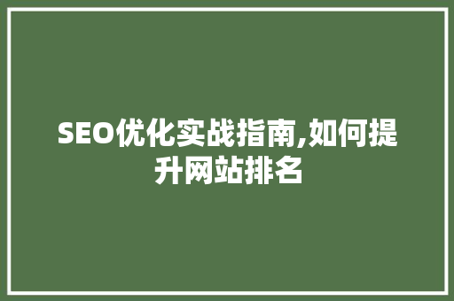 SEO优化实战指南,如何提升网站排名