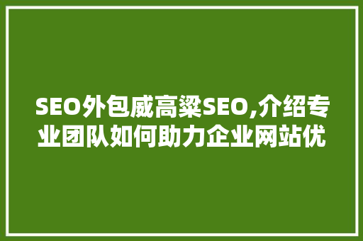 SEO外包威高粱SEO,介绍专业团队如何助力企业网站优化
