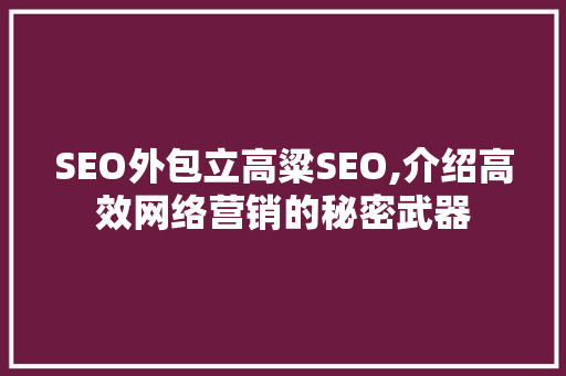 SEO外包立高粱SEO,介绍高效网络营销的秘密武器