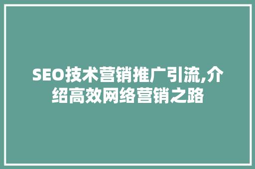 SEO技术营销推广引流,介绍高效网络营销之路
